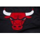 NBA Black Chicago Bulls Satin Jacket